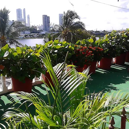 Patio De Getsemani