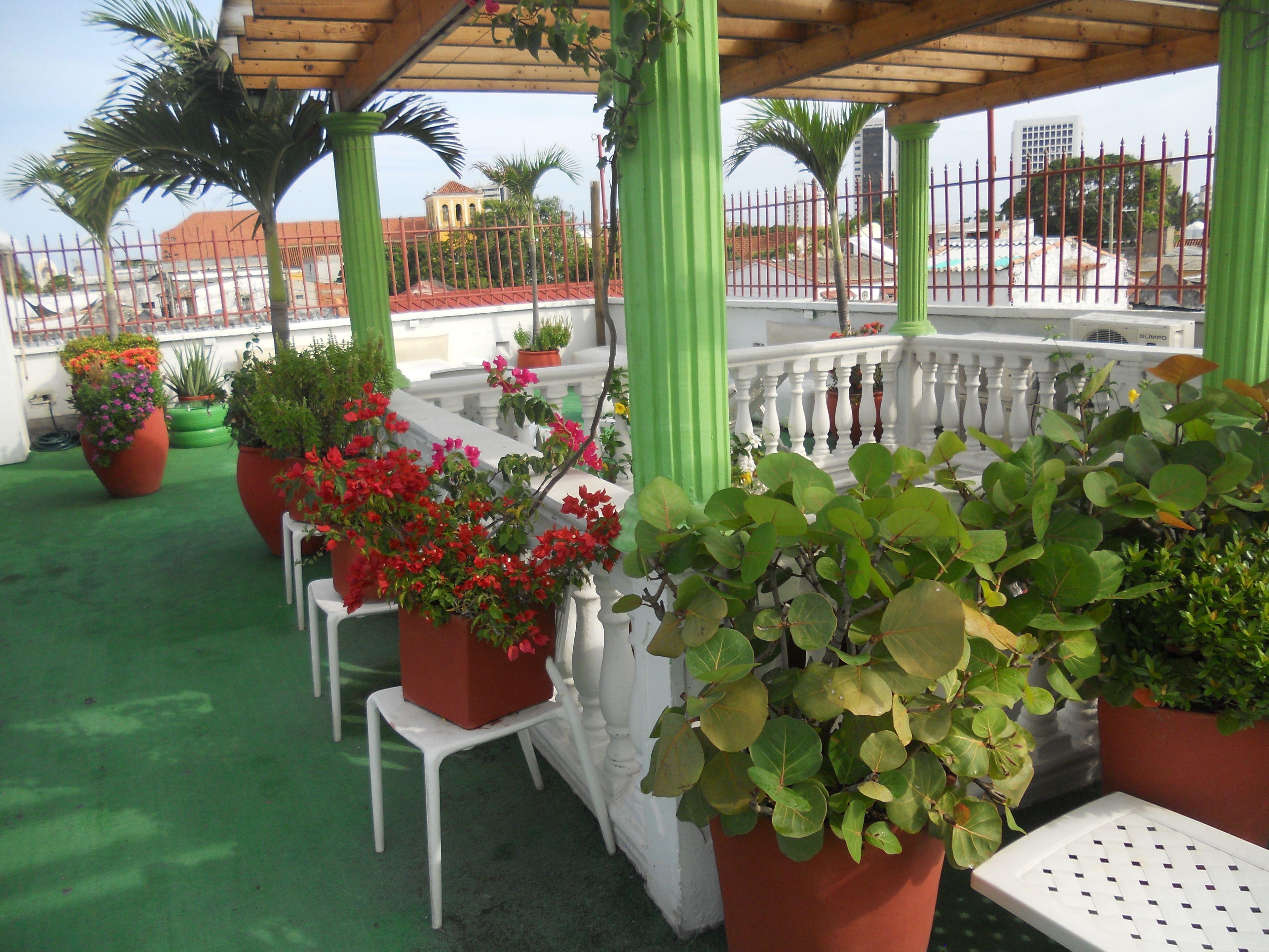 Patio De Getsemani