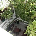 Patio De Getsemani