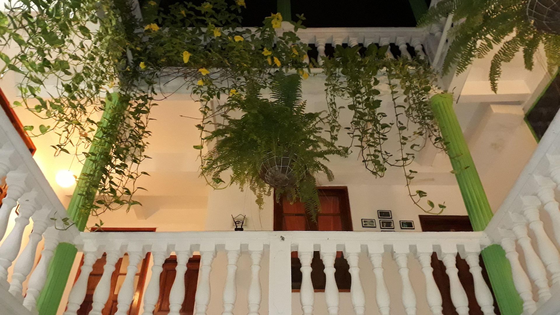 Patio De Getsemani