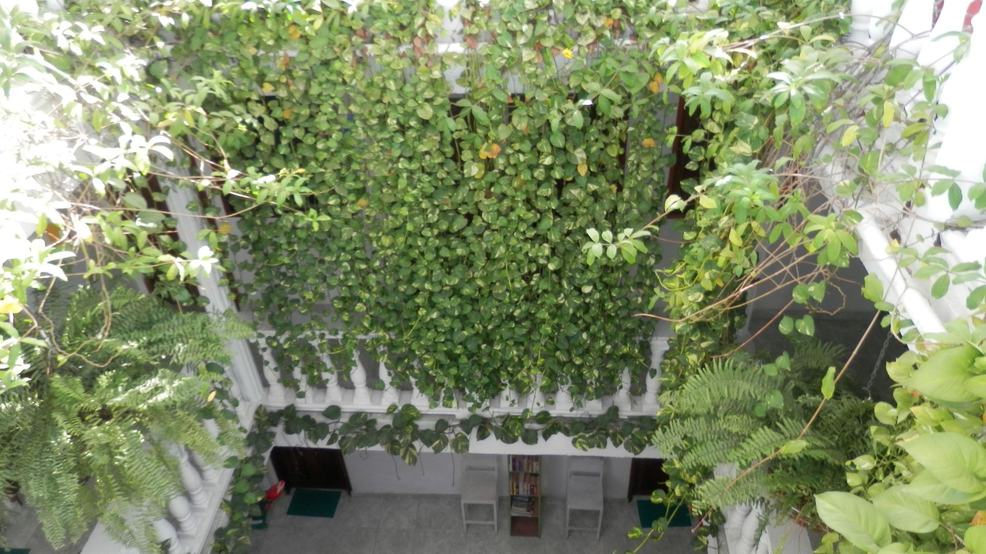 Patio De Getsemani 3*