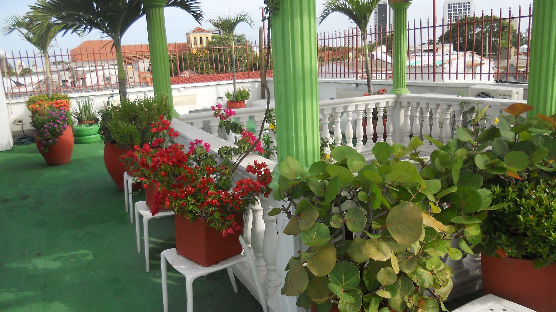 Patio De Getsemani