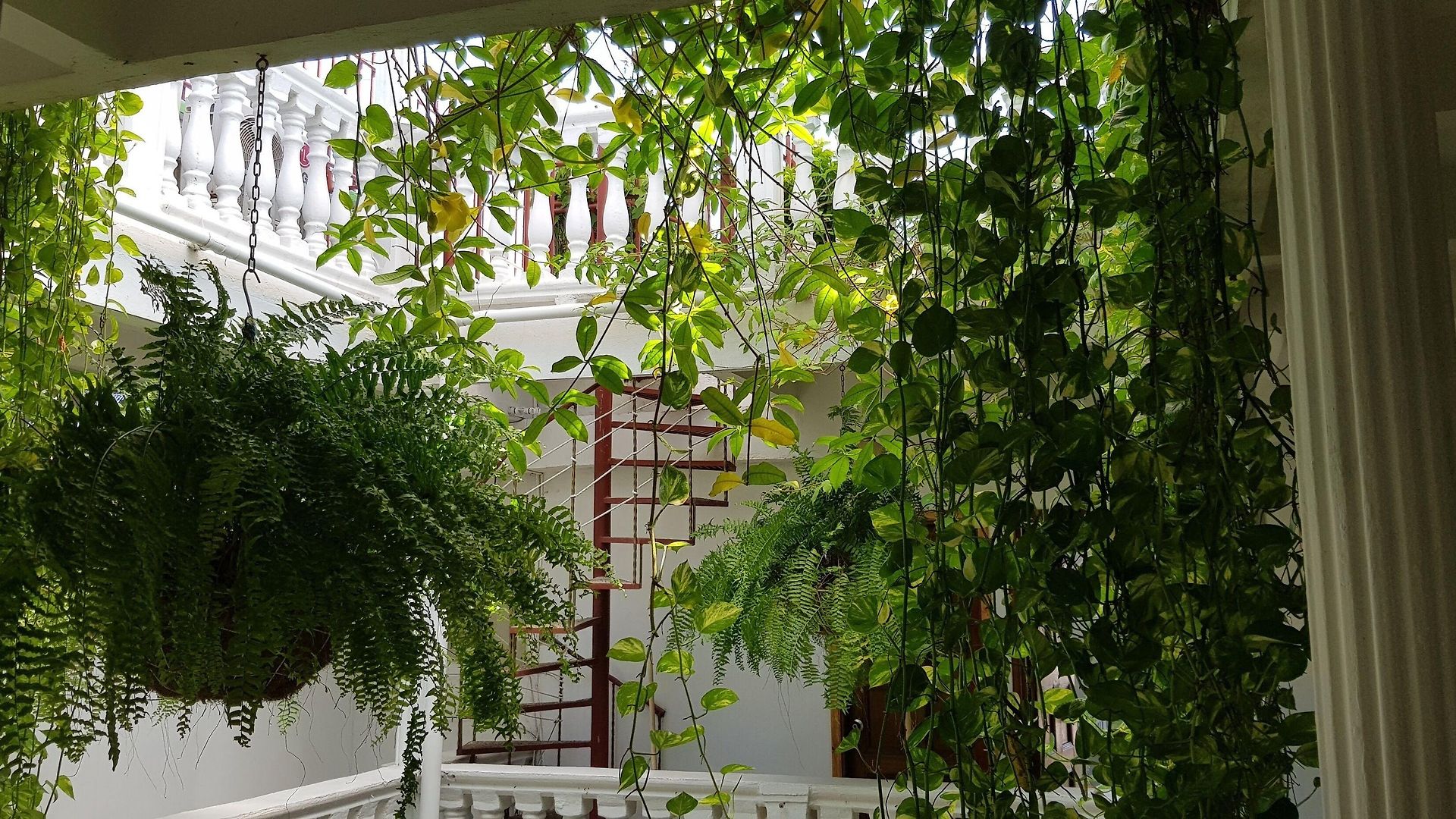 Patio De Getsemani Hotel 3*