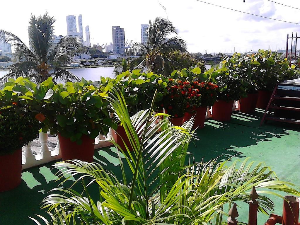 Patio De Getsemani
