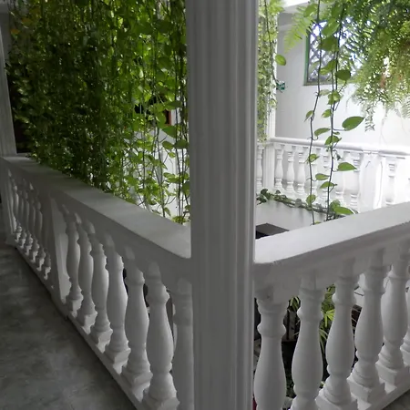 Patio De Getsemani 3*