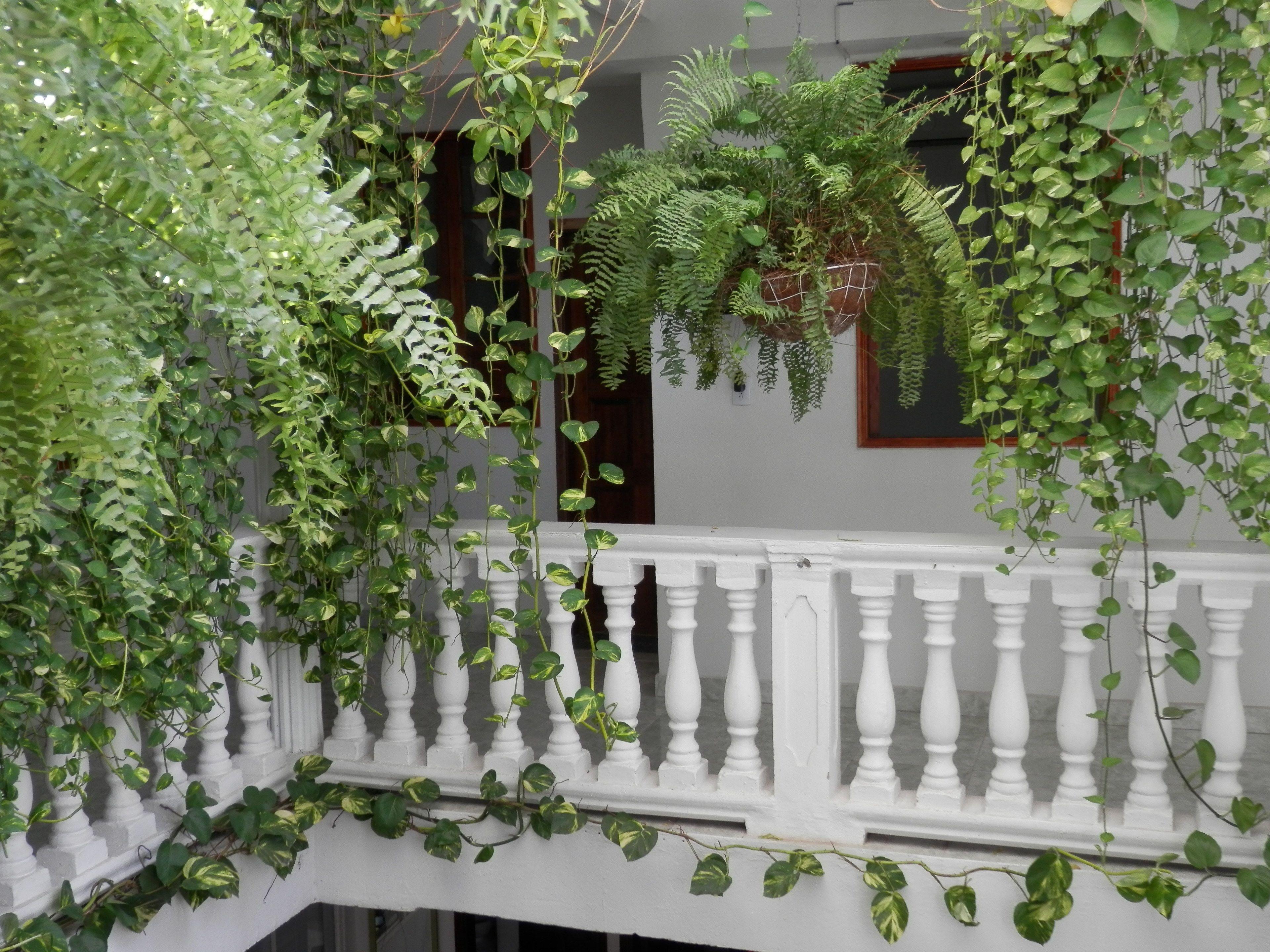 Patio De Getsemani Cartagena