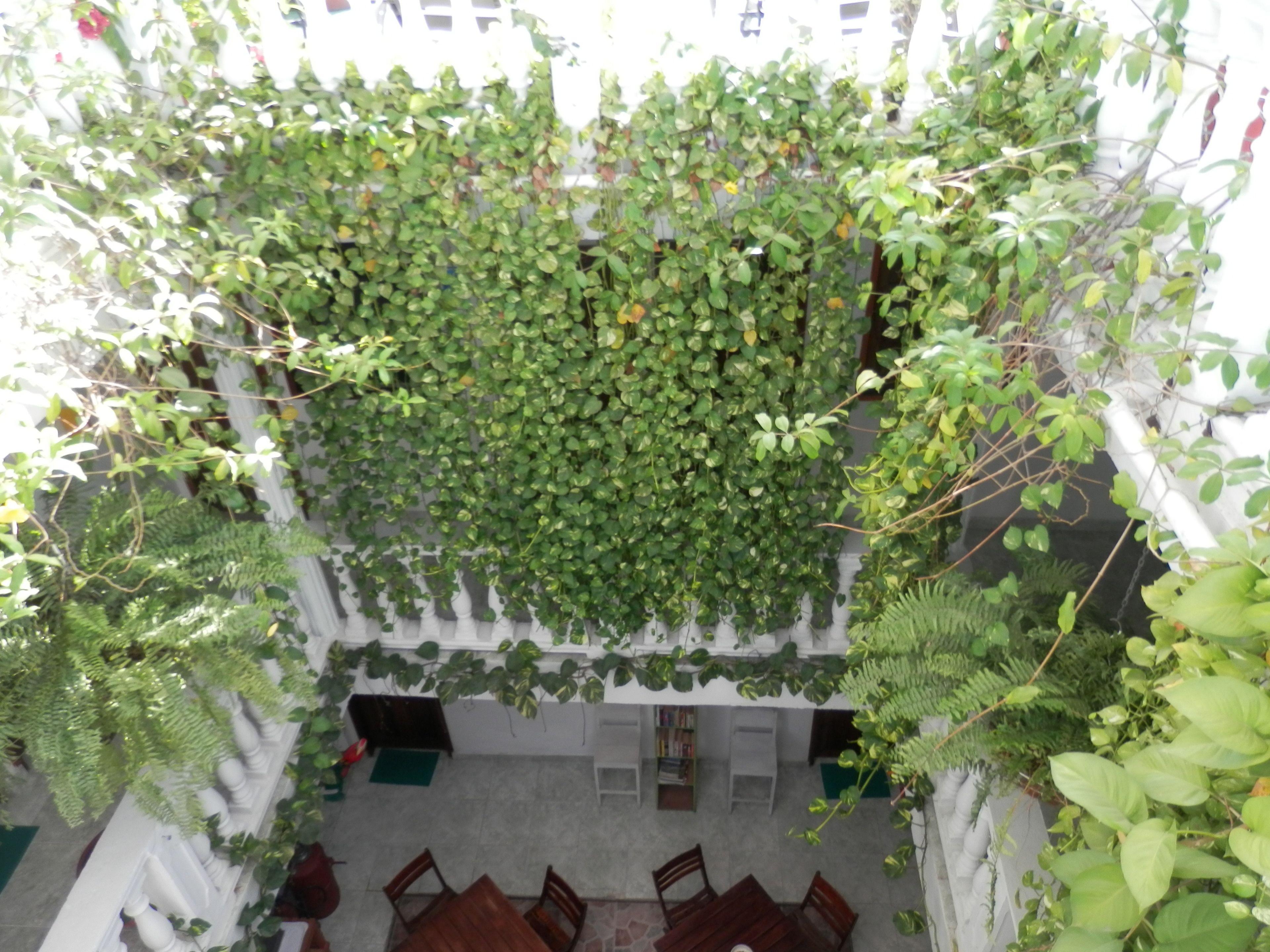 Patio De Getsemani 3*